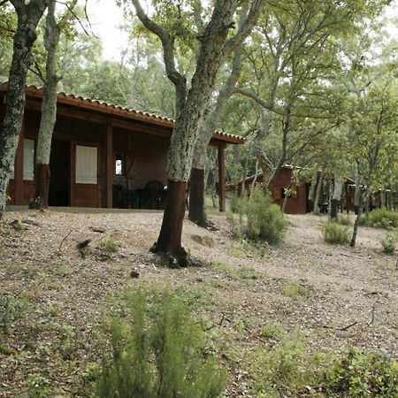 Camping มาซาเน็ต เด คาเบรนิส ภายนอก รูปภาพ
