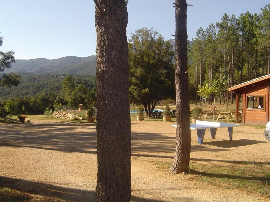 Camping มาซาเน็ต เด คาเบรนิส ภายนอก รูปภาพ