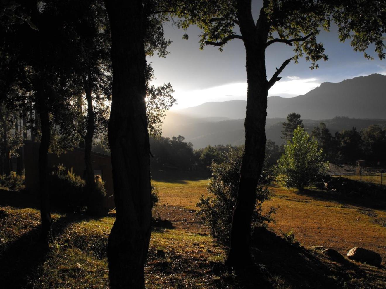 Camping มาซาเน็ต เด คาเบรนิส ภายนอก รูปภาพ