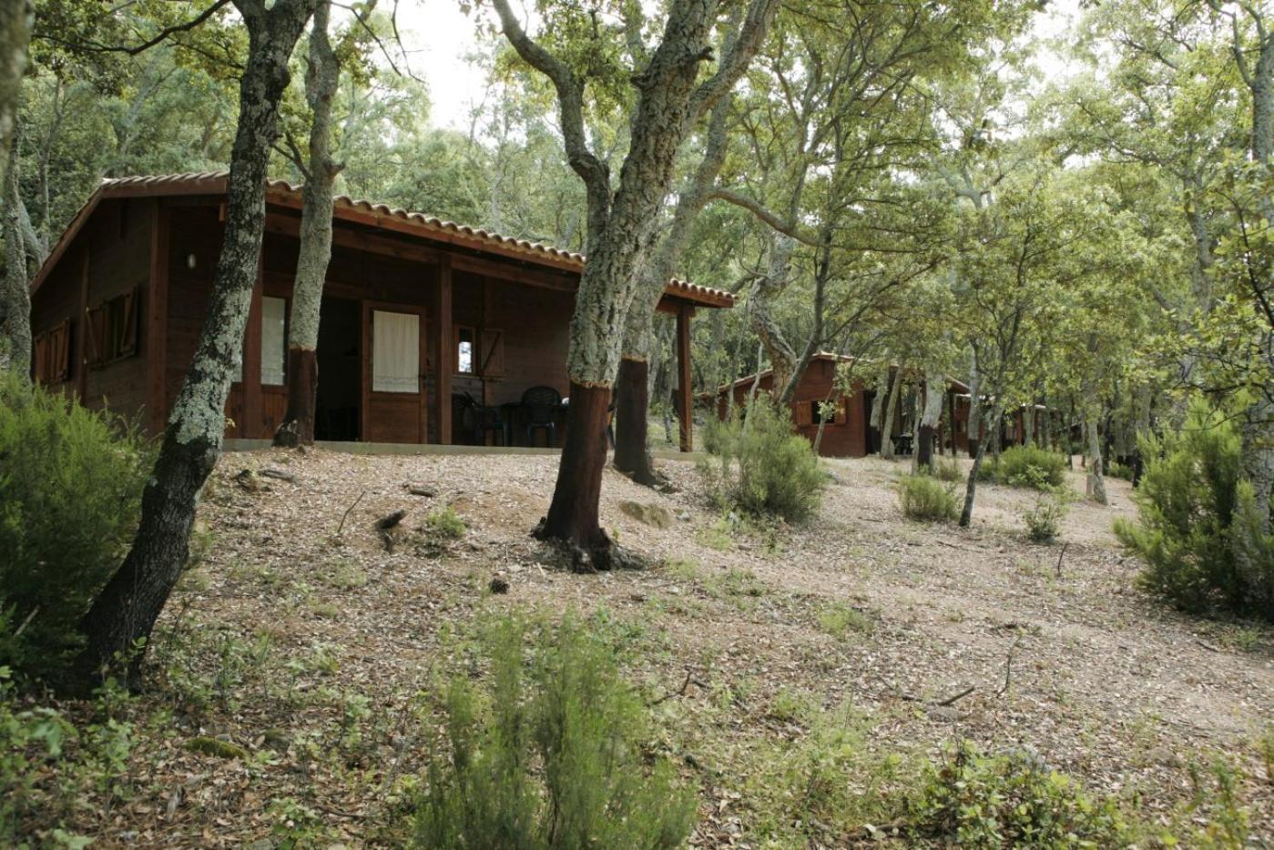 Camping มาซาเน็ต เด คาเบรนิส ภายนอก รูปภาพ