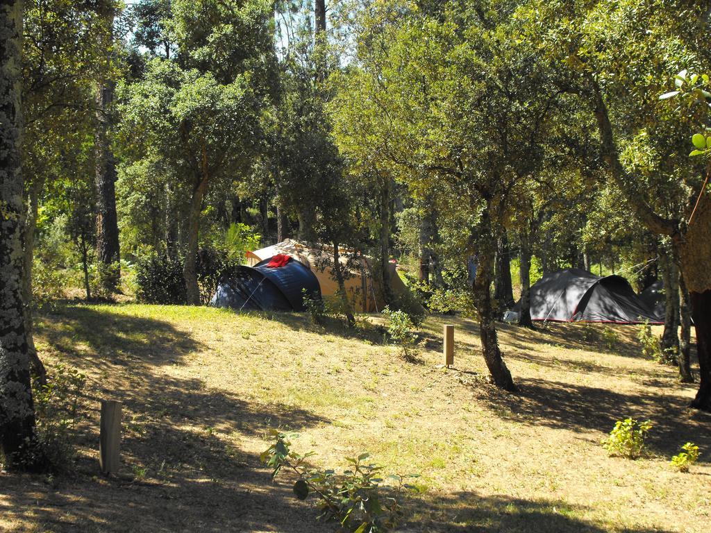 Camping มาซาเน็ต เด คาเบรนิส ภายนอก รูปภาพ
