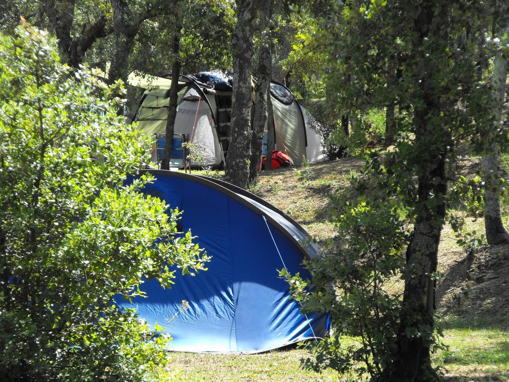 Camping มาซาเน็ต เด คาเบรนิส ภายนอก รูปภาพ