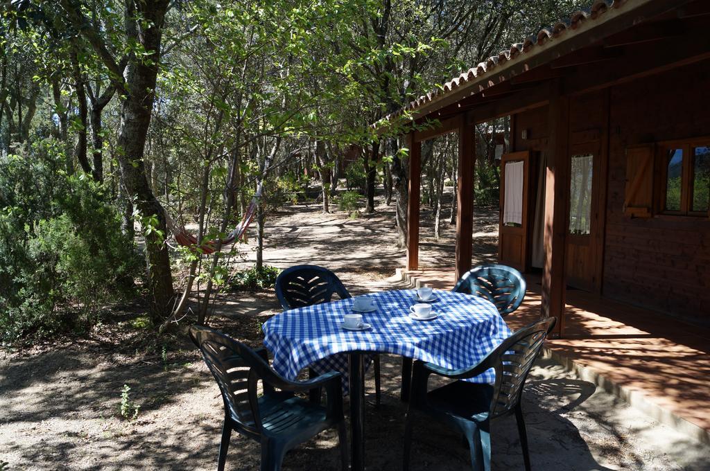 Camping มาซาเน็ต เด คาเบรนิส ภายนอก รูปภาพ
